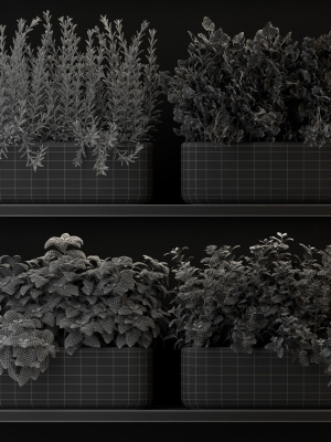 plants-collection-262-3d-model-max-obj-fbx-c4d-blend
