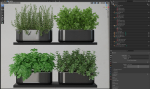 Plants collection 262