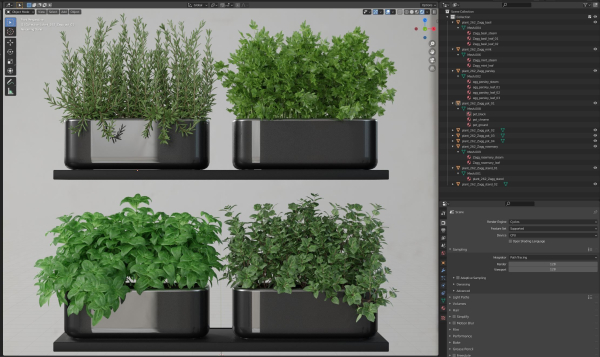 Plants collection 262