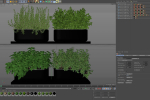Plants collection 262