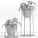 Plants collection 27