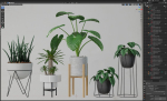 Plants collection 27