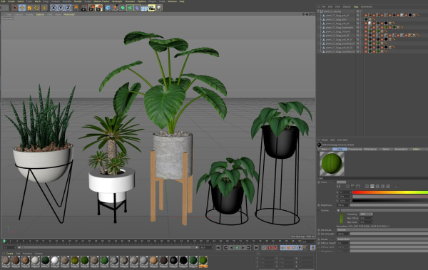 Plants collection 27