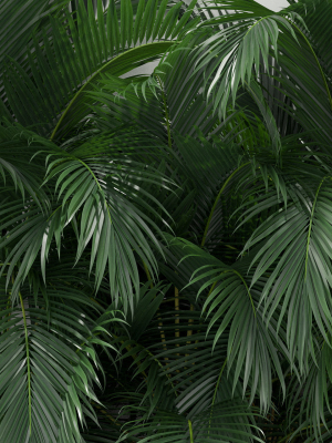 plants-collection-358-3d-model-max-obj-fbx-c4d-blend