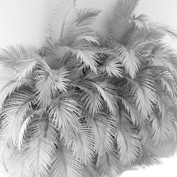 Plants collection 358