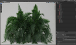 Plants collection 358