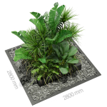 Plants collection 370