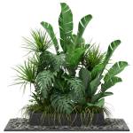 Plants collection 370
