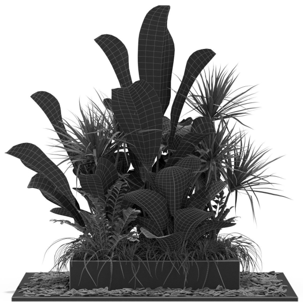 Plants collection 370