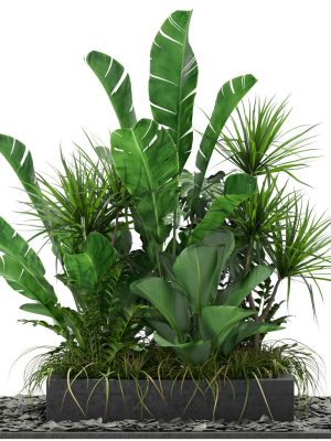 Plants collection 370