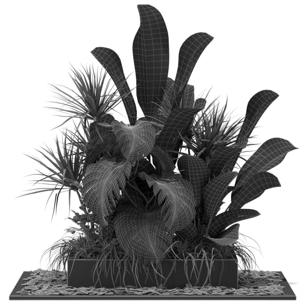 Plants collection 370