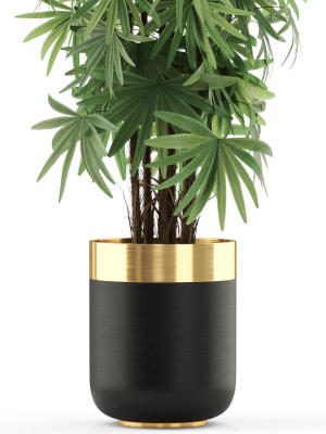 plants-collection-485-3d-model-max-obj-fbx-c4d