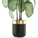 Plants collection 489