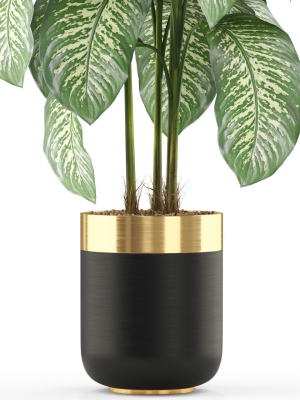 plants-collection-489-3d-model-max-obj-fbx-c4d