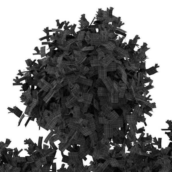 Plants collection 496