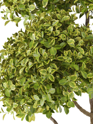 plants-collection-497-3d-model-max-obj-fbx-c4d