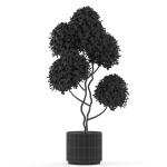 Plants collection 497
