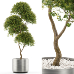 Plants collection 500