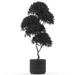 Plants collection 500
