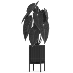 Plants collection 518