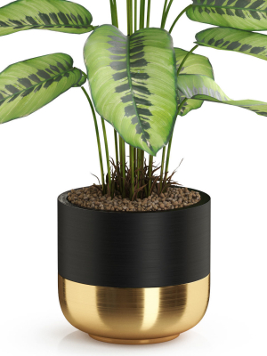 plants-collection-537-3d-model-max-obj-fbx-c4d-blend