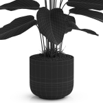 Plants collection 537