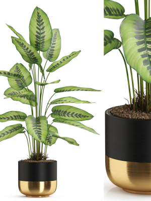 Plants collection 537