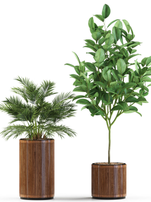 plants-collection-542-3d-model-max-obj-fbx