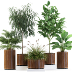 Plants collection 542
