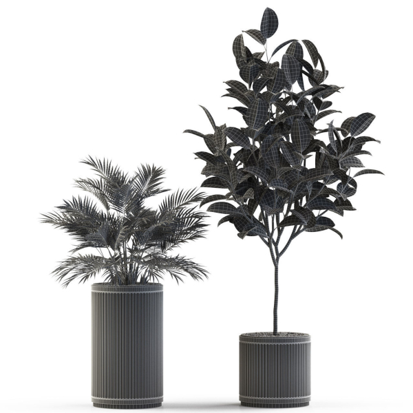 Plants collection 542