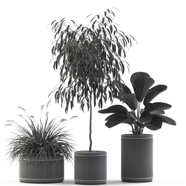 Plants collection 542