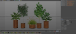 Plants collection 542