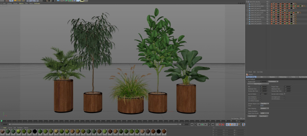 Plants collection 542