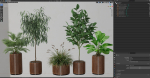 Plants collection 542
