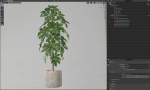 Plants collection 553