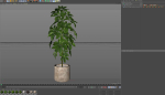 Plants collection 553