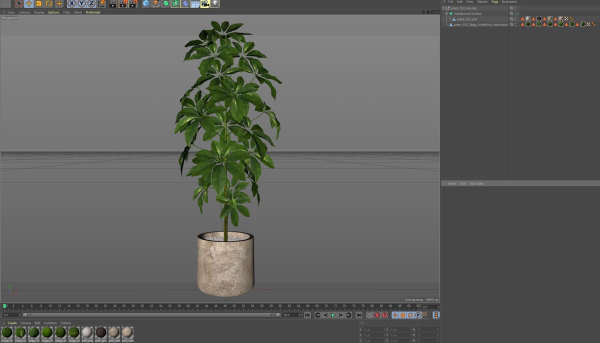 Plants collection 553