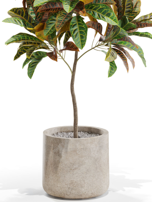 plants-collection-558-3d-model-max-obj-fbx-c4d-blend