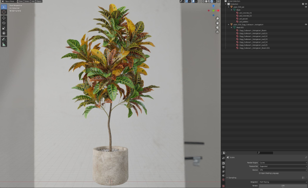 Plants collection 558