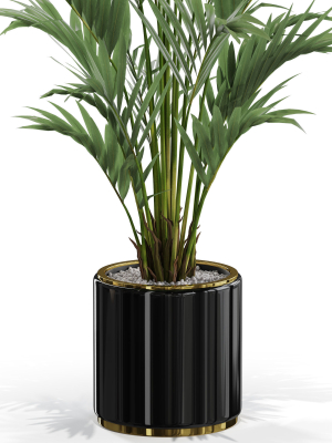 plants-collection-560-3d-model-max-obj-fbx-c4d-blend