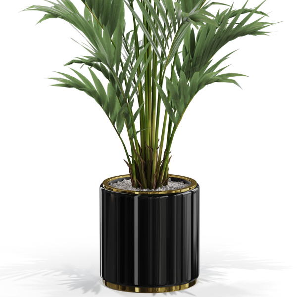 Plants collection 560