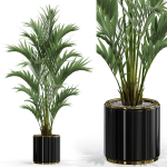 Plants collection 560