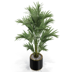 Plants collection 560