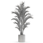 Plants collection 560