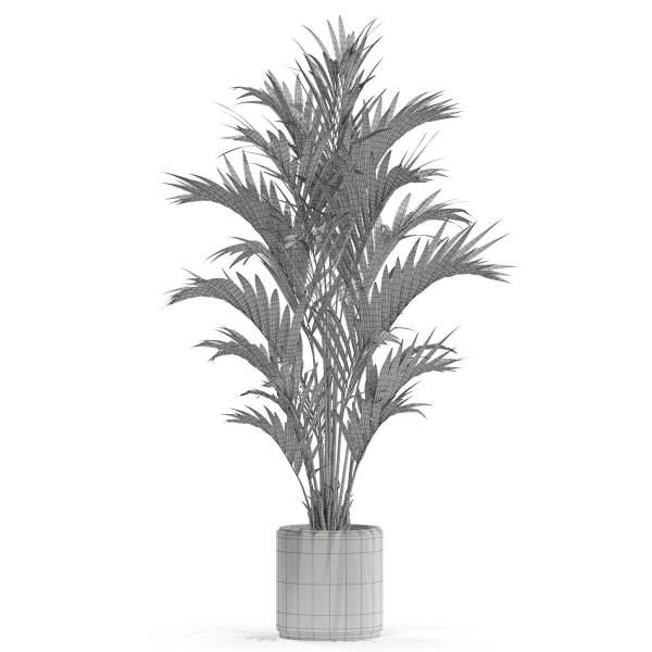 Plants collection 560