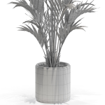 Plants collection 560