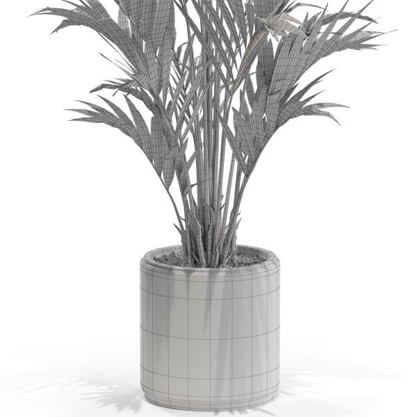 Plants collection 560