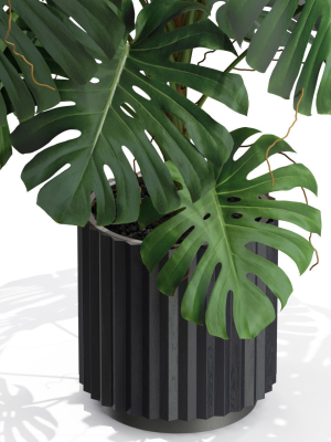 plants-collection-582-3d-model-max-obj-fbx-c4d-blend