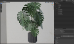 Plants collection 582