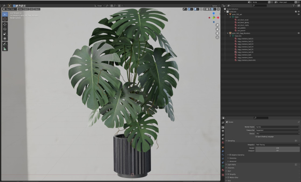 Plants collection 582